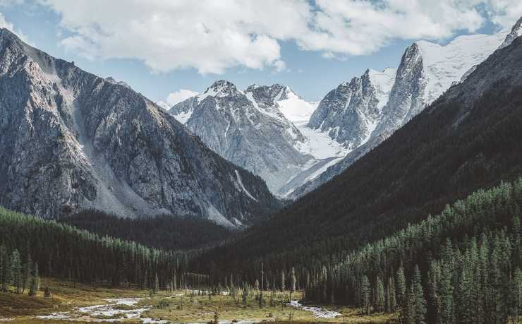 GA黄金甲体育-梅西2026世界杯悬念：传奇能否续写？